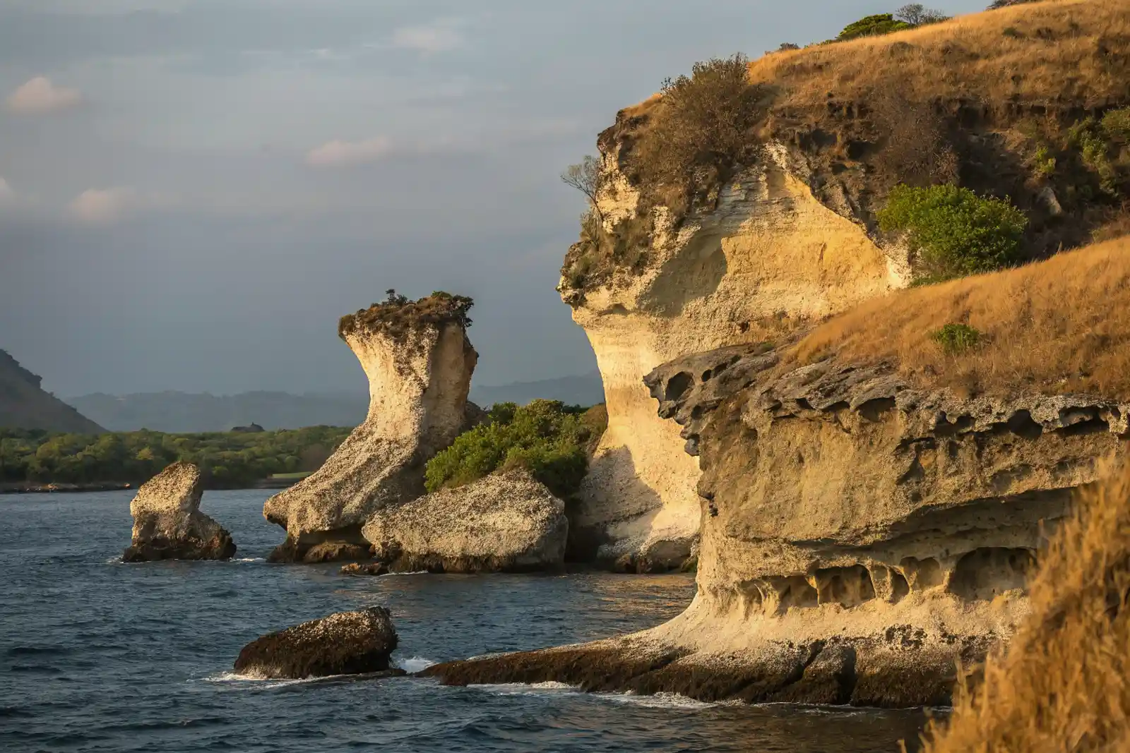 7 Mushroom Destination | Helicopter Tour Packages in Komodo Island | Komodo Helicopter Tour